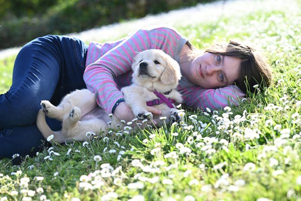 Chien de compagnie : Quel budget prévoir ?